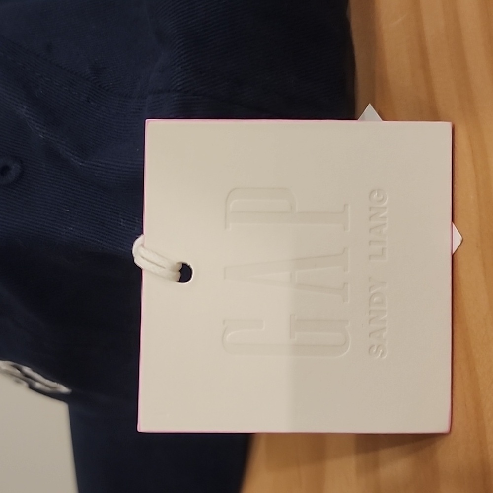 Sandy Liang x Gap Logo Baseball Hat Navy Blue Cap NWT - Picture 8 of 9